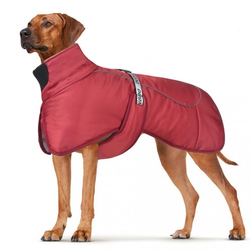 Dog winter coat waterproof - dog, coat,