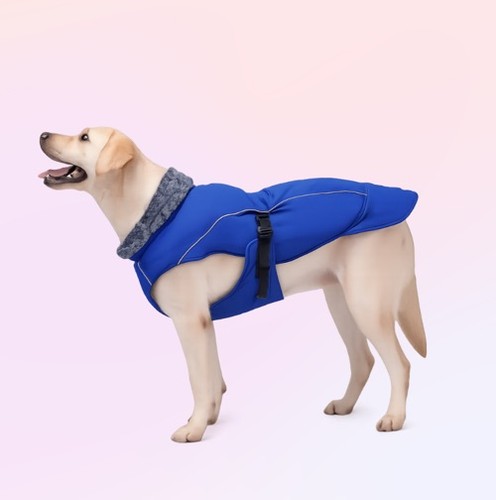 Dentrun blue waterproof - blue, xl
