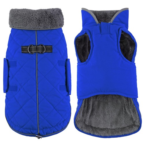 Dogcheer blue large - dogcheer,