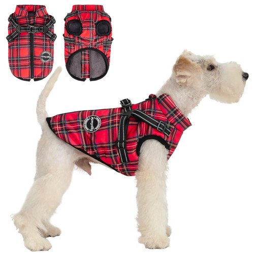 Red small dog coat with - dog,
