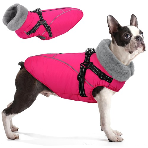 Dog jackets for extra - jackets,