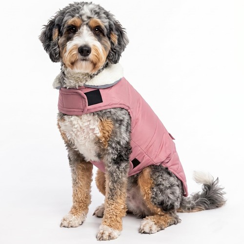 Dog winter coat waterproof