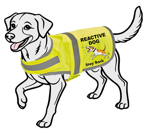 Reactive dog vis - dog, hi