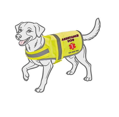 Assistance dog vis - , hi