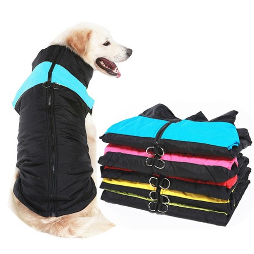 Pet dog vest - pet, warm