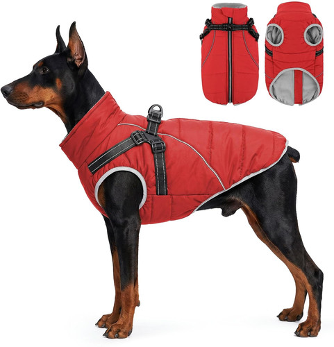 Dog winter coat with harness - dog,