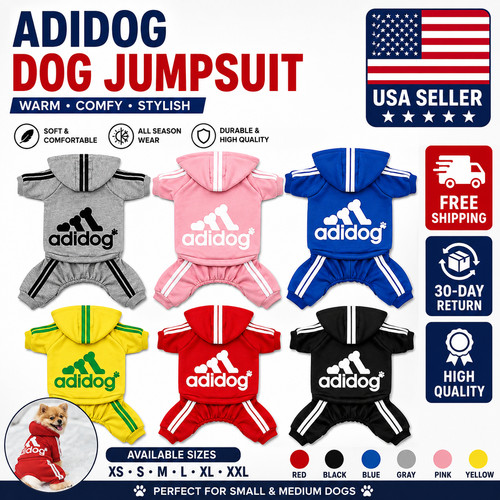 Leg pet dog - dog, clothes