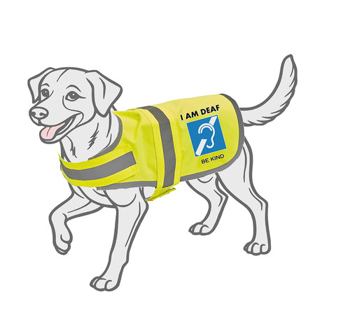Deaf dog vis - deaf, hi