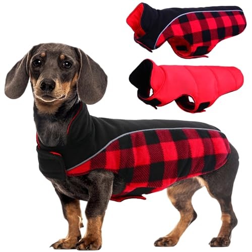 Dog winter coat reversible - dog,