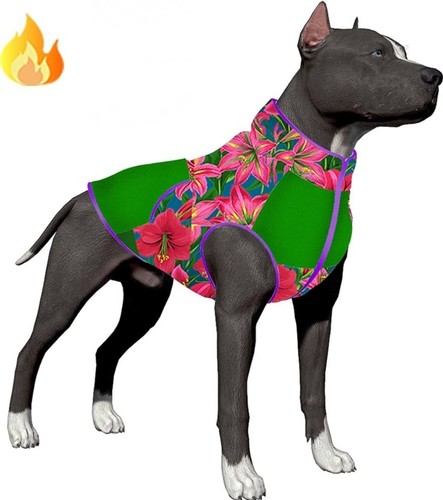 Lovinpet size xxl - lovinpet,