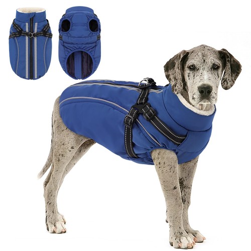 Dog winter coat with - winter,