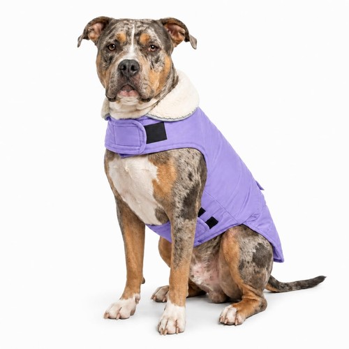 Purple large waterproof - xx-large, dog