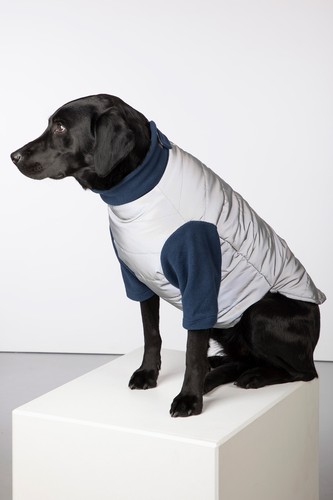 Rydale reflective dog - rydale,