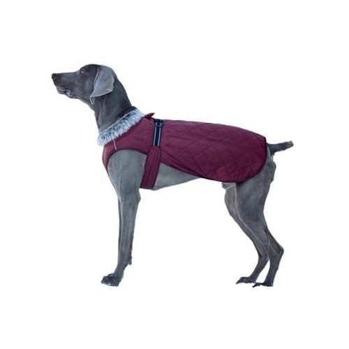 Dog winter coat - dog, for