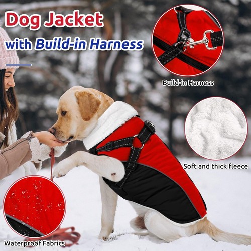 Queenmore dog winter puffer - dog,