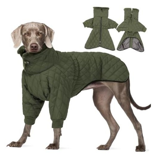 Dog winter coat - dog, dogs