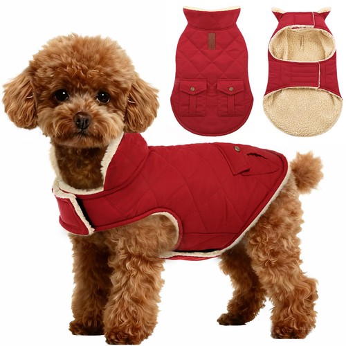 Dog winter coat thick plush - winter,