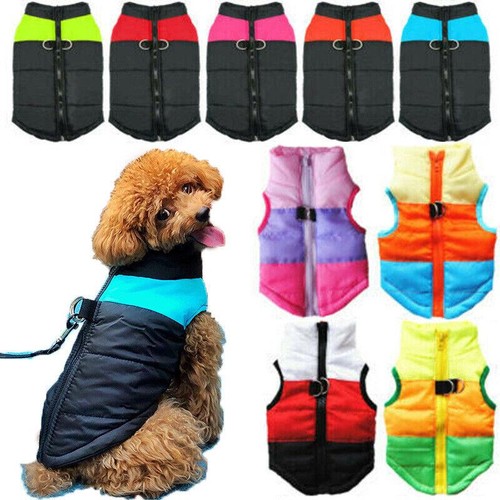 New dog vest - , w/