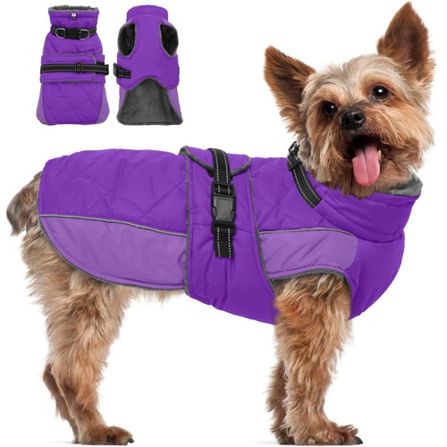 Warm dog jacket - dog, jacket,