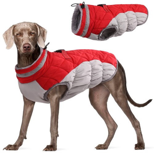 Dog coat for - for, large