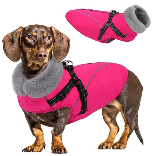 Dog jackets for large - for,