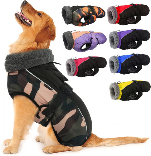 Extra warm dog - extra,