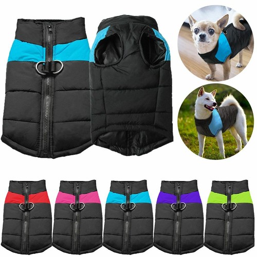 Pet dog vest - pet, warm
