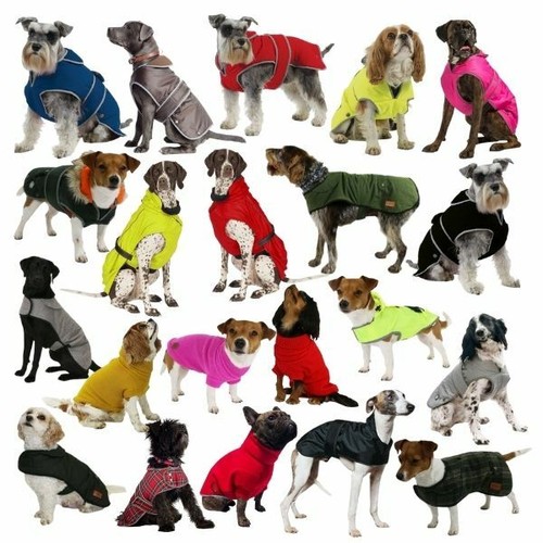 Ancol dog coat - dog, stormguard