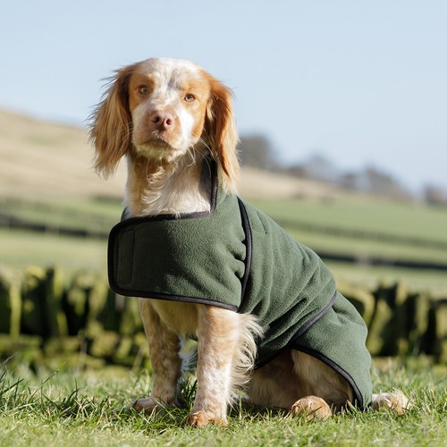 Dog field - &, field™