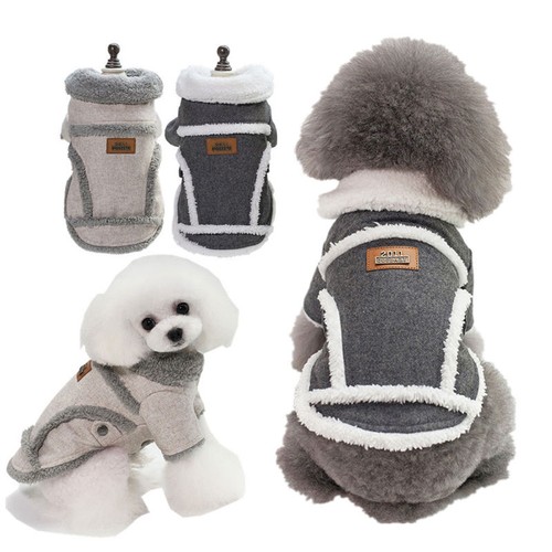 Small dogs winter - dogs,