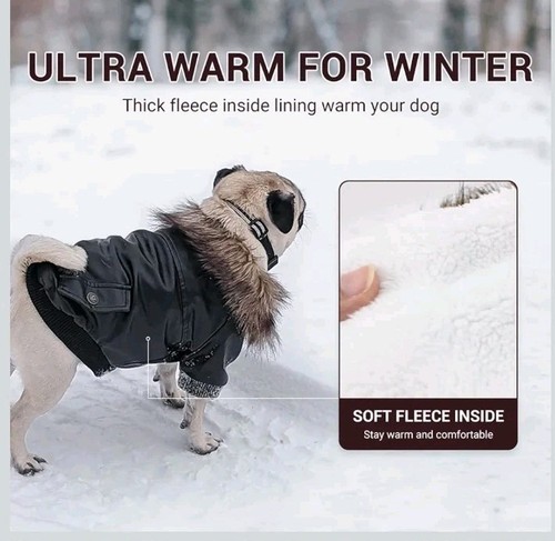 Dog leather - leather, jacket