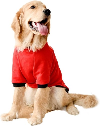 Dog sweater with sleeves - sweater,