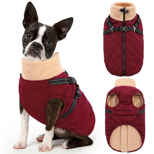 Dog winter jacket - winter, coat