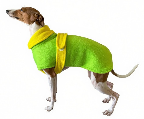 Italian greyhound warm - greyhound, fleece