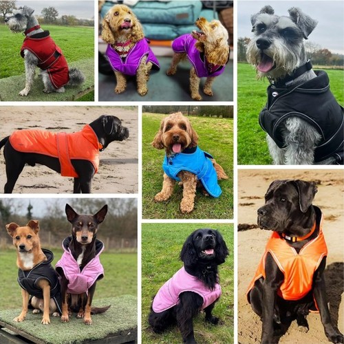 Hugglepets dog coat waterproof - hugglepets,