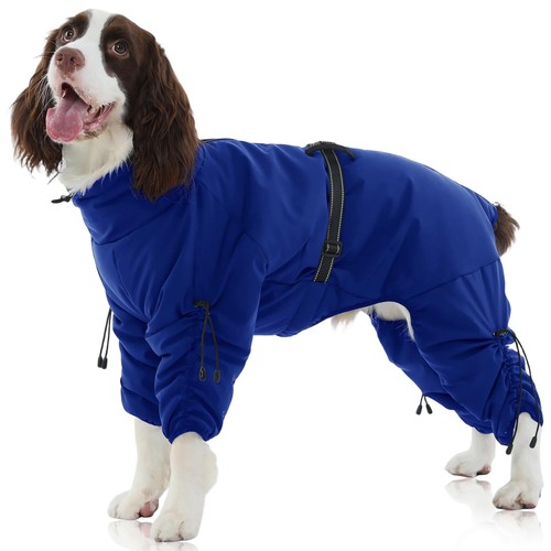 Full body dog - body,