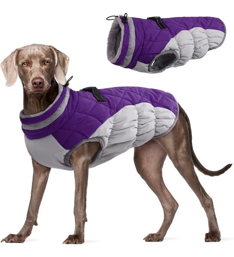 Fuamey xxl purple dog coat - purple,