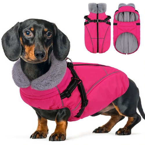 Warm winter dog puffer jacket - winter,