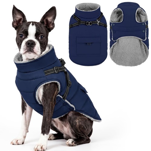 Dog winter coat with - winter,