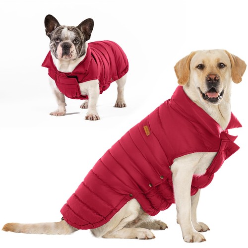 Space lion dog - space, puffer