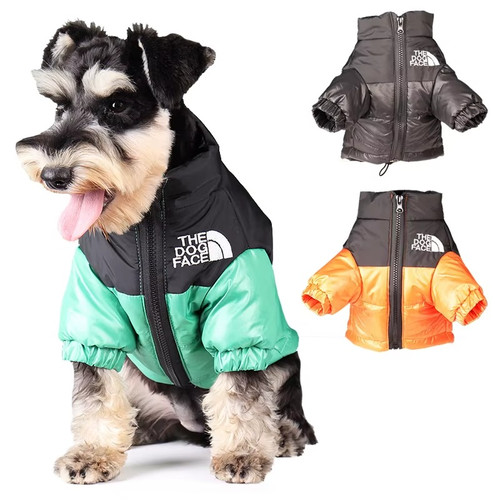 Winter dog clothes face - winter,