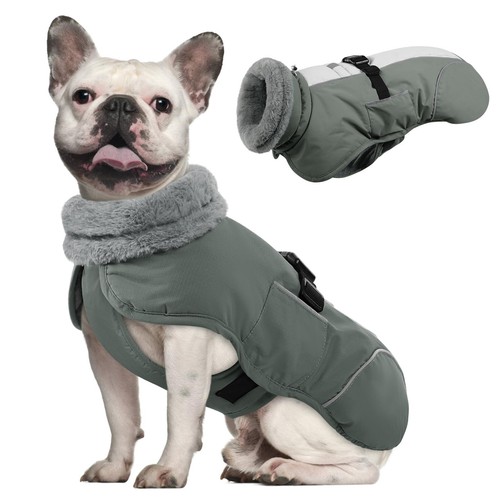 Dog winter jacket fleece - fleece, dogs