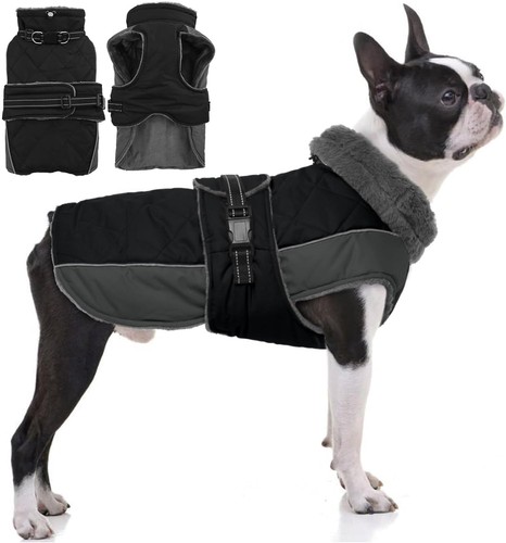 Warm dog jacket waterproof - dog,