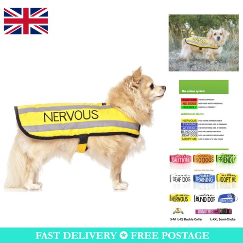 Nervous dog winter coat - dog,
