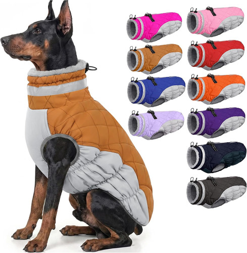 Dog jacket for - dog, large