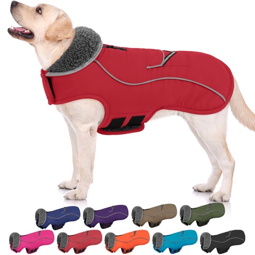 Large dog coat - coat, winter