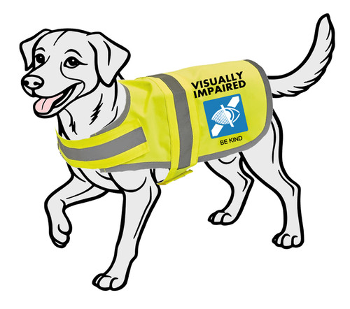 Visually impaired dog - impaired,