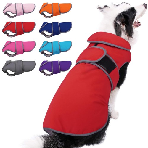 Warm dog coat - warm, jacket