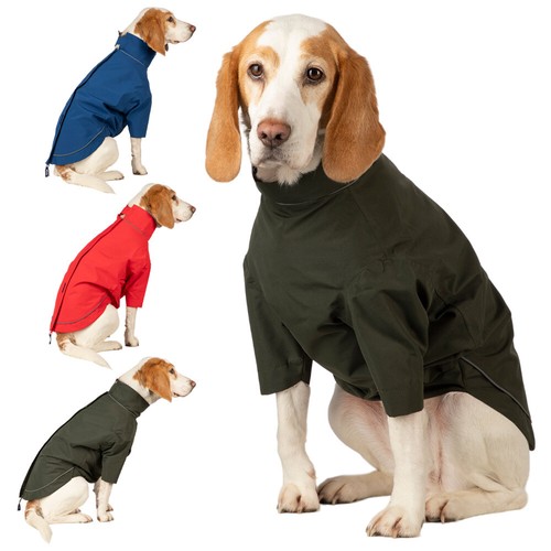 Rydale dog raincoat - raincoat, dogs