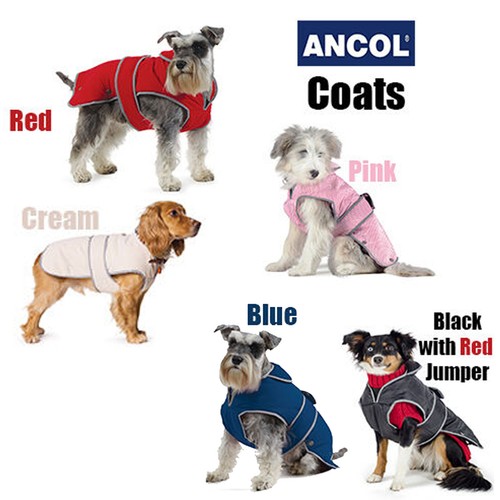 Dog coat ancol padded luxury - dog,